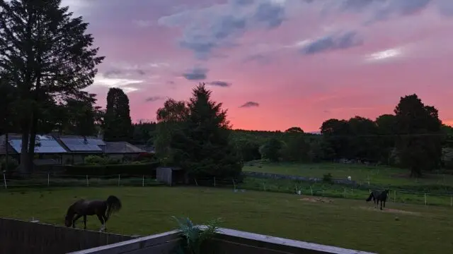 IMG_20260529_042727160_HDR
